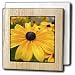 Beautiful Yellow Black Eyed Susan Flower- Floral Photography - 6 Inch Tile Napkin Holder