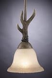Buckhorn Pendant Fixture