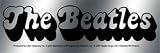 31jxhUJ2mYL. SL160  The Beatles   Silver Foil Logo   Sticker / Decal