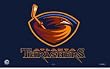 Atlanta Thrashers NHL 3'x5' Banner Flag by Rico Industries