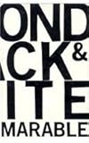 Beyond black and white : transforming African-American politics