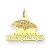 14K Baltimore Ravens Medium Logo w/Name Charm