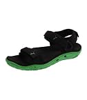 K9-Black-Green
