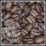 Indonesia Celebes Kalossi Coffee Beans - 5lb Bag