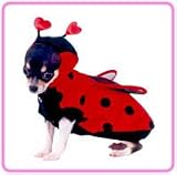 Pet Costume Lady Bug 2 Small