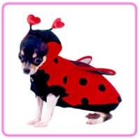 Pet Costume Lady Bug 2 Small