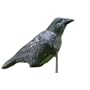 Edge by Expedite CAWLIN CROW FLOCKED DECOY & CALL