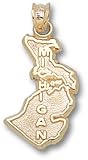 State Of Michigan 3/4 Charm/Pendant -14K/10K, Stainless Steel or Gold Plated