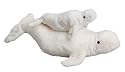 Plush Spray Baby Beluga Whale 12"
