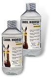 Equine Supplement - Recovery Formula for Horses - Banana Flavor - Six 8 Ounce Bottles - Made in USA