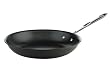 Emeril Hard Anodized 10-inch Non-Stick Fry pan
