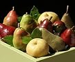 Premium Pear Medley Gift Box