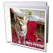 Sandy Mertens Christmas Dog Designs - Christmas German Shepherd - Greeting Cards-12 Greeting Cards with envelopes