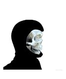 Scary Skull 5 Fantasy Photographic Poster Print by Harveys Art, 16x20