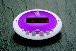 Buy Electronic Handheld 20 Questions Game by Discovery Channel Store now!