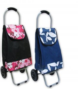 amazon offers trolley bags