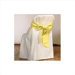 Folding Chair Cover Color: Light Blue by 