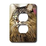 Cats - Maine Coon - Light Switch Covers - 2 plug outlet cover