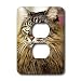 maine coon - Cats - Maine Coon - Light Switch Covers - 2 plug outlet cover