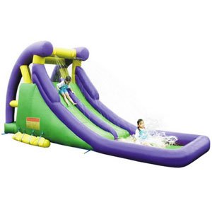 Inflatable Twin Water Slides