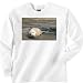 Baby Seal Pup Sweatshirt