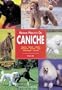 Manual practico del caniche/ Guide to Owning a Poodle (Spanish Edition)