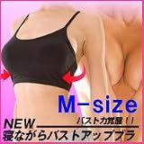 NEW�Q�Ȃ���o�X�g�A�b�v�u�����l�T�C�Y