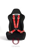 Cipher Racing Red 4-Point Camlock Universal Racing Harness Set