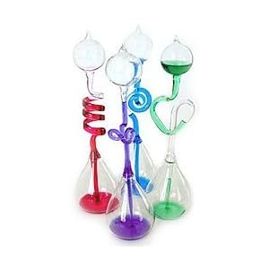Westminster Hand Boilers (Colors May Vary)
