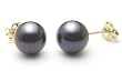 AAA Quality Round 7.5-8mm Akoya SaltWater cultured Black Pearl Earrings with 14K Yellow Gold Mount