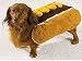 Pet Supplies : Dog Costume - Hot Diggity Dog Halloween Costume (Hot Dog w/Mustard) - Large