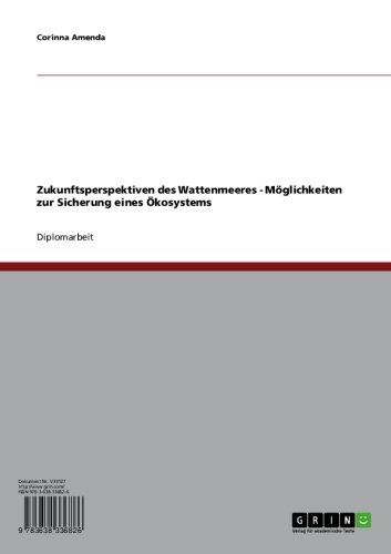 Zukunftsperspektiven des Wattenmeeres - Möglichkeiten zur Sicherung eines Ökosystems (German Edition)