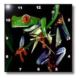 Frogs - Frog - Wall Clocks