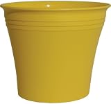 Rush Creek Designs PIM2021011312 Aspen Planter, Yellow