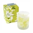 The Thymes Wild Ginger Candle - 5.3 oz