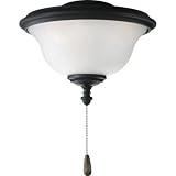 Progress Lighting Ashmore Fan Glass Filter and Light Kit P2636-80 Forged Black