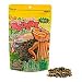 Ectotherm Bearded Dragon Medley