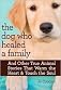 The Dog Who Healed a Family
