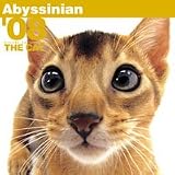 THE CATアビシニアン 2008年カレンダー
