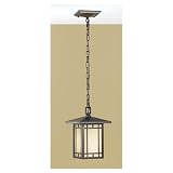 August Moon Collection 13 1/2 High Outdoor Hanging Light