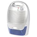 Portable Domestic Mini Dehumidifier