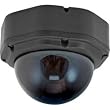 Lorex SG620CL/SG620F Imitation Dome Surveillance Camera (Black)