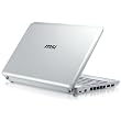 MSI Wind U100-411US 10-Inch Netbook (1.6 GHz Intel Atom Processor, 1 GB RAM, 120 GB Hard Drive, XP Home, 3 Cell Battery) White