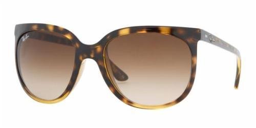 Rayban Cats