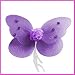 Purple Fairy Wings With Flower