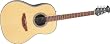 Applause AA21 Acoustic Guitar, Black