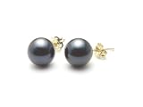 AAA Quality Round 6-6.5mm Akoya SaltWater cultured Black Pearl Earrings with 14K Yellow Gold Mount
