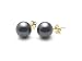 AAA Quality Round 6-6.5mm Akoya SaltWater cultured Black Pearl Earrings with 14K Yellow Gold Mount
