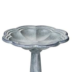 Colonial Williamsburg Petal Birdbath by 