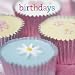 Birthday Book - Cupcakes cover